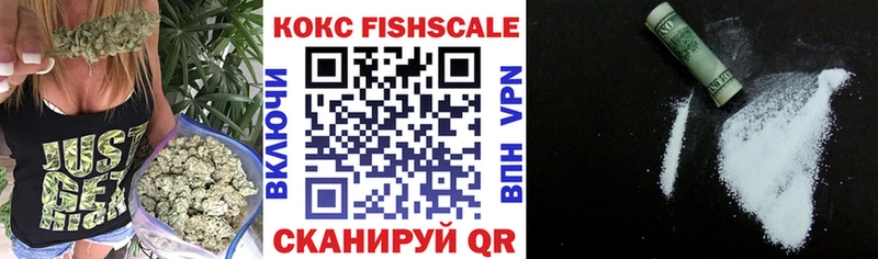 COCAIN Fish Scale  Купить где  Пенза 