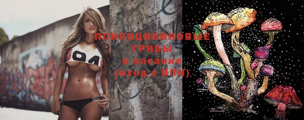 мефедрон мука Новодвинск