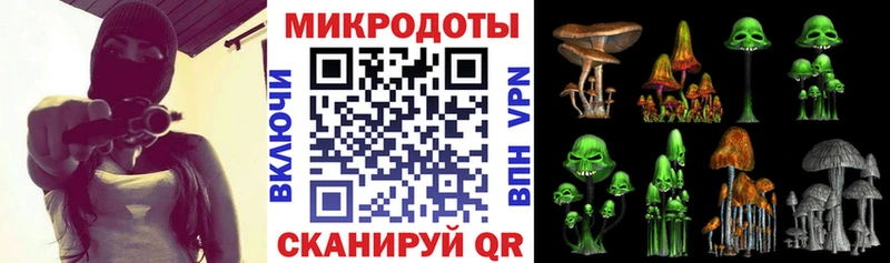 Купить где  Пенза  Галлюциногенные грибы Psilocybe 